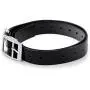 PETINCCN TPU Dog Collar Strap Belt Band Buckle for PET998DRB/PET998DBB/998DR/998DB/PT0X1/PT0Y1/PT0Z1/ Tri Tronics Petsafe iPets Petrainer Aetertek Pettech Dog Training Shock Collar and Fence PETINCCN TPU Dog Collar Strap Belt Band Buckle for PET998DRB/PET998DBB/998DR/998DB/PT0X1/PT0Y1/PT0Z1/ Tri Tronics Petsafe iPets Petrainer Aetertek Pettech Dog Training Shock Collar and Fence