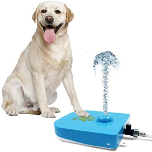 Royal Tails Dog Water Fountain - Step On Paw Activated Dispenser & Sprinkler for Fresh Drinking Water - Adjustable Pressure Flow - 1m Hose Included