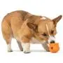 West Paw Creamy Dog Training Treat (Peanut Butter & Banana, 2 Pack) and Zogoflex Toppl Treat Dispensing Dog Toy Puzzle (Tangerine, Small)
