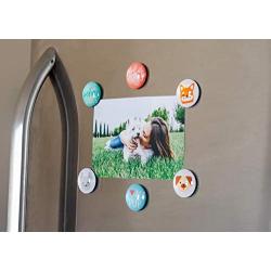 Pearhead Dog Kitchen Magnets, Pet Themed Refrigerator Magnets, Dog Décor