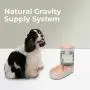 BIGA Automatic Pet Feeder and Water Dispenser Set with 1 Gal Large Capacity for Cats and Dogs BIGA Automatic Pet Feeder and Water Dispenser Set with 1 Gal Large Capacity for Cats and Dogs