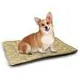 DayDayFun Garden Art Pet Mat for Kennel Pattern Design with Hand Drawn Style Flowers and Floral Elements Romantic Rustic Waterproof and Machine Washable Multicolor DayDayFun Garden Art Pet Mat for Kennel Pattern Design with Hand Drawn Style Flowers and Floral Elements Romantic Rustic Waterproof and Machine Washable Multicolor