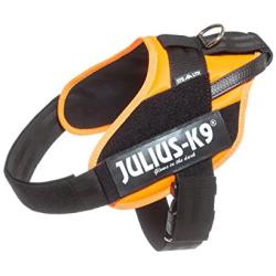 Julius-K9 16STEALTH-P-2 IDC Stealth Powerharness for Dogs, Size: 2, UV Orange