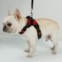 BFIT Dog Harness