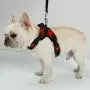 BFIT Dog Harness BFIT Dog Harness