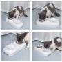 GAPZER Elevated Cat Dog Bowls Food Grade Material 0/15° Tilted Pet Food Water Bowls with Anti Slip Raised Stand Detachable Orthopedic Pet Feeder No-Spill Anti-Overturn
