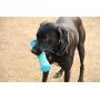 OllyDog Adventure Fetch Rubber Toy, Functional, Tough, Durable Rubber Toy for Dogs, Squeaky Stick Toy, Perfect Puppy Chew Toy Made from Non-Toxic Natural Rubber for MediumDog