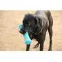 OllyDog Adventure Fetch Rubber Toy, Functional, Tough, Durable Rubber Toy for Dogs, Squeaky Stick Toy, Perfect Puppy Chew Toy Made from Non-Toxic Natural Rubber for MediumDog