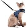 SCENEREAL Escape Proof Cat Harness and Leash - Adjustable Soft Mesh Vest Harness for Rabbits Puppy Kittens, XL