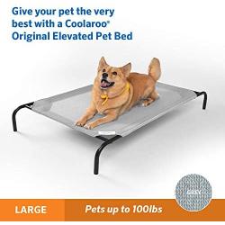 Elevated Indoor/Outdoor Pet Cot Color: Gray, Size: Large (51'' H x 32'' W)