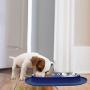 Flexzion Double Dog Bowl Feeding Station, Skid Proof Silicone Base with Spill Proof Raised Lip & Two 12oz Stainless Steel Bowls for Food and Water, Ideal for Small to Medium Size Dogs Cats Pet
