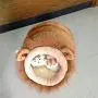 Creation Core Warm Plush Pet Bed House Cute Pet Cave for Small Dogs Cats with Removable Cushion Inside Creation Core Warm Plush Pet Bed House Cute Pet Cave for Small Dogs Cats with Removable Cushion Inside