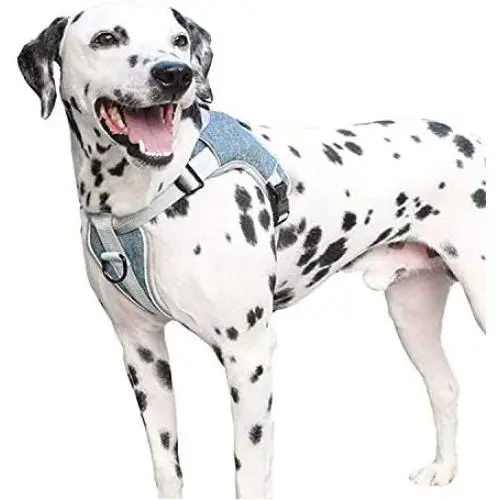 Dog Harness No-Pull Pet Harness Adjustable Soft Padded Outdoor Pet Dog Vest Harness Reflective No-Choke Harness Pet Chest Harness with Easy Control Handle for Large Dogs (XL, Chest 27.0-33.5'') Dog Harness No-Pull Pet Harness Adjustable Soft Padded Outdoor Pet Dog Vest Harness Reflective No-Choke Harness Pet Chest Harness with Easy Control Handle for Large Dogs (XL, Chest 27.0-33.5'')