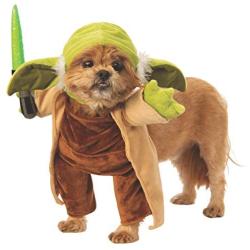 Rubies Costume