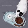 Luck Dawn Double Dog Cat Bowls Water and Food Bowl Set，Detachable Stainless Steel Bowl Automatic Water Dispenser Bottle Pet Feeder for Small or Medium Size Dogs Cats Puppy Kitten Rabbit