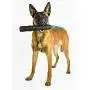 Mammoth TireBiterII Rubber Dog Toys - Natural Rubber Dog Toys for Extreme Chewers – Dog Toys for Extra Long Interactive Play – Aggressive Chewer Toys