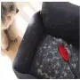 3 Pieces of Fluff Brush Magic Fluff Remover Brush, Fluff Brush for Pet Hair, Double-Sided Reusable, Used for Cat and Dog Pet Hair, Fluff, Dust, Furniture