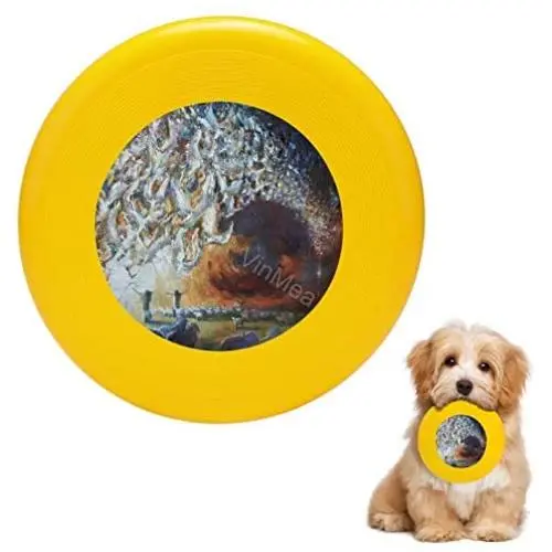 Pet Frisbee Flying Disc Dog Toy - Multifunction Seeing Shepherds Daniel Bonnell
