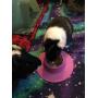STAYbowl Tip-Proof Ergonomic Pet Bowl for Guinea Pig and Other Small Pets, 1/4-Cup Small Size, Lilac (Purple)