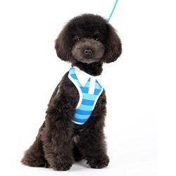 DOGO 100 Dogo EasyGo Polo Harness - Blue/Medium