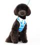 DOGO 100 Dogo EasyGo Polo Harness - Blue/Medium