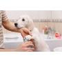 Pet Nail Clippers Dog Paw Scissors Cat Claw Trimmers with Safety Guard to Avoid Over Cutting, Free Nail File, Professional Grooming Tool for Large and Small Animals,Blue