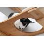 CatastrophiCreations Roman - Multiple-Level Cat Hammock & Climbing Activity Center Wall-Mounted Cat Tree Shelves