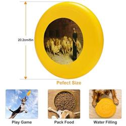 Pet Frisbee Flying Disc Dog Toy - Multifunction Daniel in The Lions Den Briton Riviere