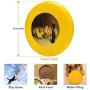 Pet Frisbee Flying Disc Dog Toy - Multifunction Daniel in The Lions Den Briton Riviere