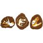 Jurassic World Fossil Vinyl Toys for Dogs with T-Rex, Triceratops Logo Bulk Order, 24 Pieces for Pet Shops | Squeaky Dog Toys Safe for All Dogs and Aggressive Chewers