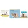 chenming Cat Scratch pad, Cat Scratcher Cardboard,Scratcher with Catnip,Cat Toy Scratch Board Lounge Refill chenming Cat Scratch pad, Cat Scratcher Cardboard,Scratcher with Catnip,Cat Toy Scratch Board Lounge Refill