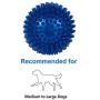 SPNORD Spiky Squeaker Ball Dog Toy, TPR Durable Bouncy Teeth Cleaning Fetching Training Pet Toy for Dogs