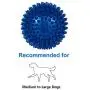 SPNORD Spiky Squeaker Ball Dog Toy, TPR Durable Bouncy Teeth Cleaning Fetching Training Pet Toy for Dogs SPNORD Spiky Squeaker Ball Dog Toy, TPR Durable Bouncy Teeth Cleaning Fetching Training Pet Toy for Dogs