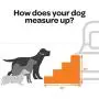 Made in USA Foldable Pet Steps/Stairs with CertiPUR-US Certified Foam for Dogs and Cats by Best Pet Supplies Made in USA Foldable Pet Steps/Stairs with CertiPUR-US Certified Foam for Dogs and Cats by Best Pet Supplies