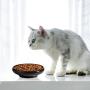 omSaf Cat Food Water Bowl, Wide Shallow Ceramic Cat Dish, Non Spill Pet Bowl, 10oz