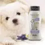 Wahl 4-In-1 Calming Pet Shampoo – Cleans, Conditions, Detangles, & Moisturizes with Lavender Chamomile Wahl 4-In-1 Calming Pet Shampoo – Cleans, Conditions, Detangles, & Moisturizes with Lavender Chamomile
