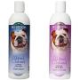 Bio-groom Natural Oatmeal Shampoo 12 Ounce and Natural Oatmeal Soothing Anti-Itch Pet Creme Rinse 12 Ounce - Combo Pack for Dogs and Cats
