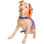 Pet Krewe Ernie Costume - Sesame Street Ernie Dog Costume - Fits Small, Medium, Large and Extra Large Pets - Perfect for Halloween, Parties, Photoshoots, Gifts for Dog Lovers