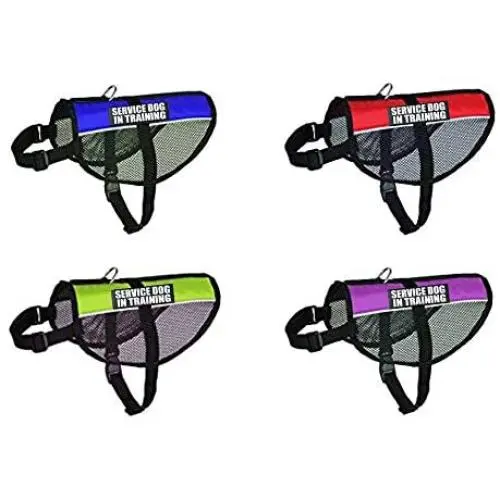 Service Dog in Training mesh Vest Harness Cool Comfort. Purchase Comes with 2 Reflective Service Dog in Training Removable Patches. Please Measure Your Dog Before Ordering Service Dog in Training mesh Vest Harness Cool Comfort. Purchase Comes with 2 Reflective Service Dog in Training Removable Patches. Please Measure Your Dog Before Ordering