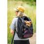 OllyDog Meridian Dog 4 in 1 Travel Carrier and 600ML OllyBottle Water Bottle in Grass Product Bundle
