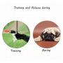 XIHONGSHIR Flying Frisbee, Dog Frisbee Disk, Dog Frisbee Soft, Pet Toys Training, Tooth Resistant Fetch Pet Toys, for Medium and Large Dogs, 2 Packs,Basketball,16cm