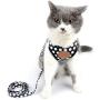 SMALLLEE_Lucky_Store New Soft Mesh Nylon Vest Pet Cat Small Medium Dog Harness Dog Leash Set