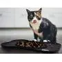 BBMaxPro Dog Feeder Slow Eating Bowl