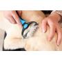 Teenway Pet Grooming Tool Dog Comb & Cat Comb Brush - 2 Sided Undercoat Rake Professional Dematting Comb for Dog and Cat - Designed for Medium and Long Haired Cats Dogs and Every Other Pets