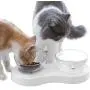 Raised Pet Feeding Bowls for Cats and Small Dogs - Food Grade Material 20° Tilted Elevated Dog Cat Food and Water Bowls Stand Feeder Dish with Anti Slip Feet Raised Pet Feeding Bowls for Cats and Small Dogs - Food Grade Material 20° Tilted Elevated Dog Cat Food and Water Bowls Stand Feeder Dish with Anti Slip Feet