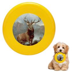 Pet Frisbee Flying Disc Dog Toy - Multifunction Monarch of The Glen Sir Edwin Landseer