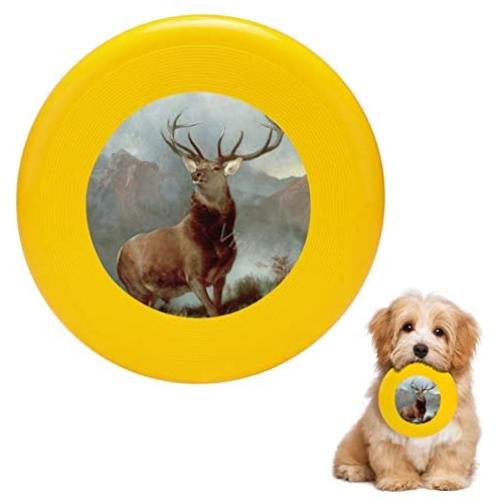 Pet Frisbee Flying Disc Dog Toy - Multifunction Monarch of The Glen Sir Edwin Landseer