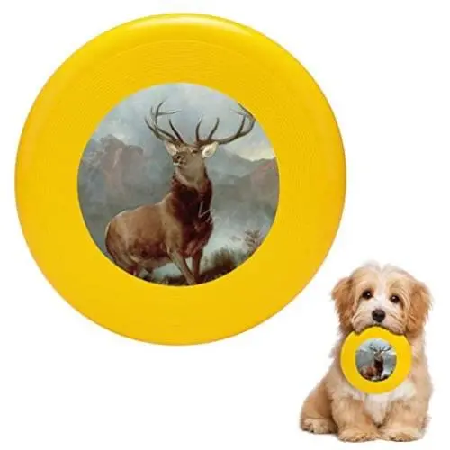 Pet Frisbee Flying Disc Dog Toy - Multifunction Monarch of The Glen Sir Edwin Landseer