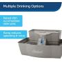 PetSafe Drinkwell Multi-Tier Cat and Dog Drinking Fountain, 100 Oz Capacity Automatic Water Dispenser for Pets, Fresh Free-Flowing Stream, Easy to Clean Hygienic Durable Material, Filters Included