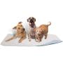 Careoutfit 36 x 72 - XXL Big Size Premium Waterproof Reusable/Quilted Washable Large Dog/Puppy Training Travel Pee Pads (Green)